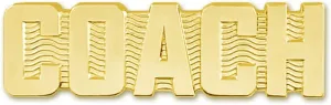 Pinmart Chenille Pins for Letterman Jackets